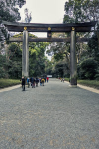 Santuario Meiji #1_Meiji Temple #1